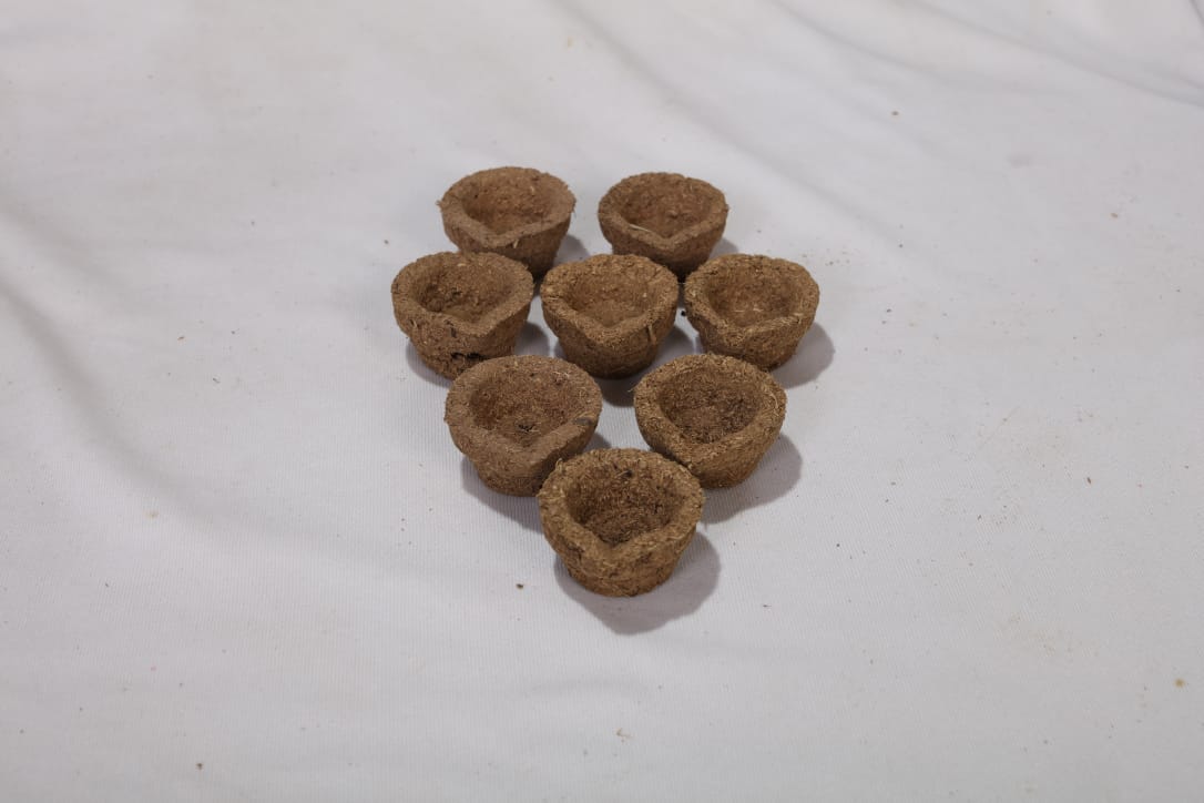 Panchagavya Deepam cups arranged for pooja