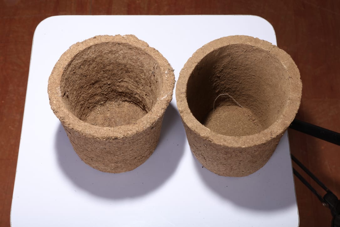 Gomya flower pots ready for planting