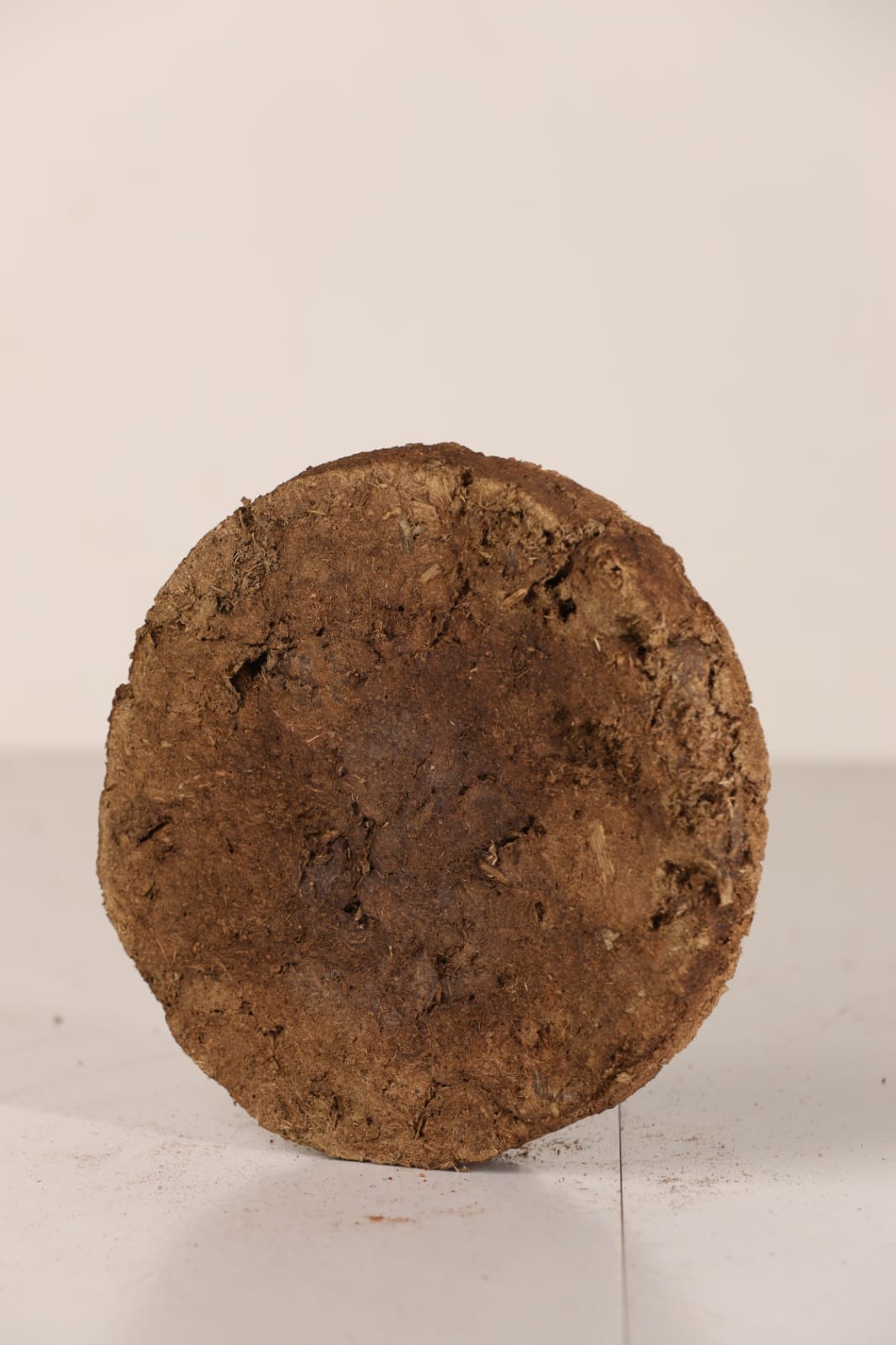 Cow Dung Powder